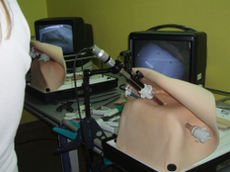 Simuladores físicos de Medical Simulator